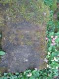 image of grave number 631872
